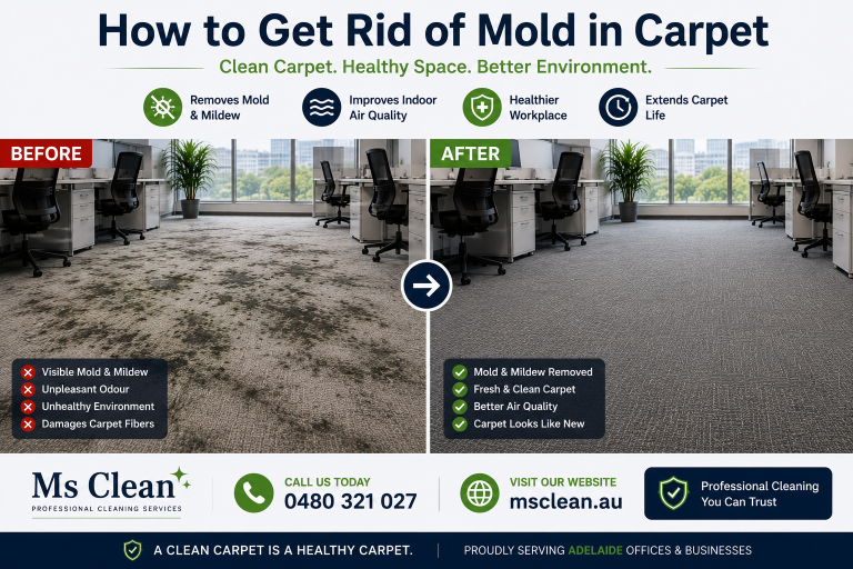 How to Get Rid of Mold in Carpet near me