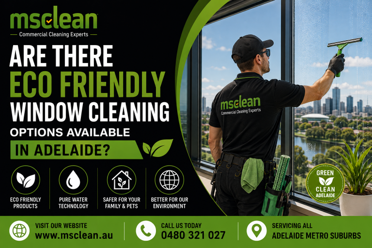 Are There Eco Friendly Window Cleaning Options Available in Adelaide?