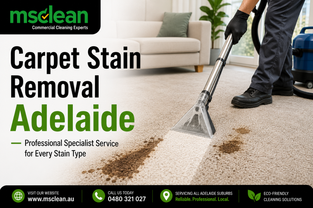 Carpet Stain Removal Adelaide — Professional Specialist Service for Every Stain Type