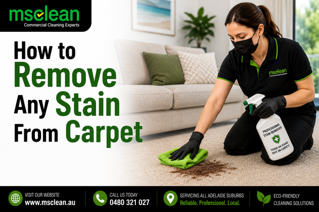 How to Remove Any Stain From Carpet (Without Ruining It) 1 How to Remove Any Stain From Carpet (Without Ruining It)