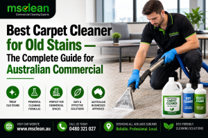 Best Carpet Cleaner for Old Stains Ms Clean Adelaide Guide