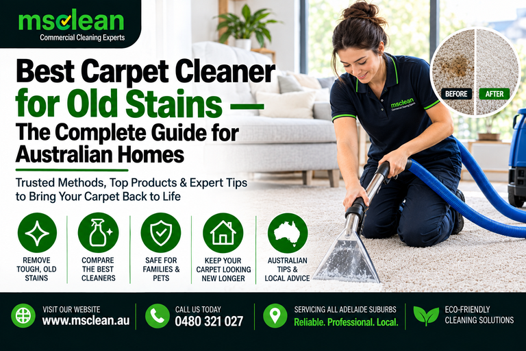 Best Carpet Cleaner for Old Stains