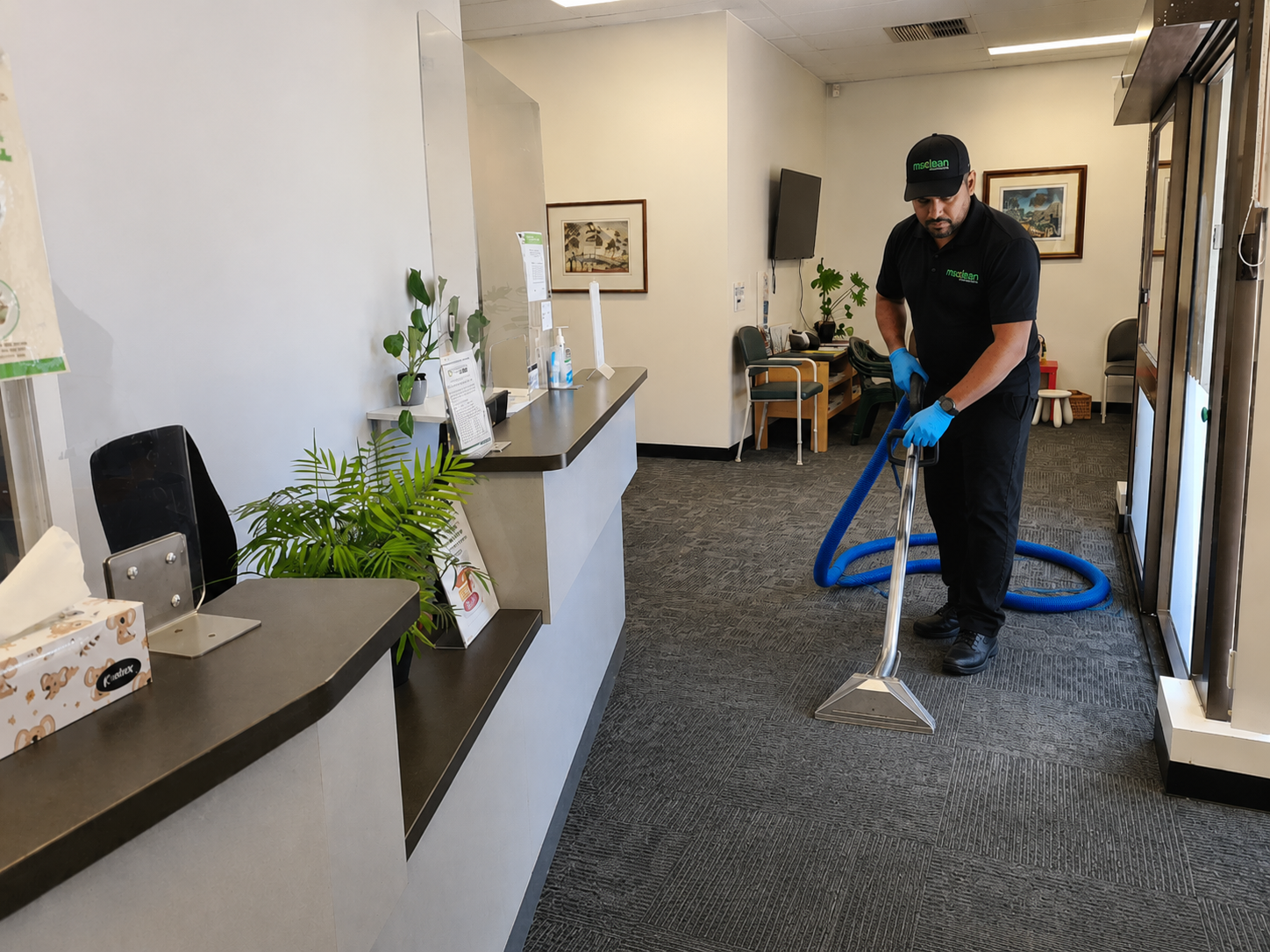 Carpet cleaning Adelaide SA MS Clean